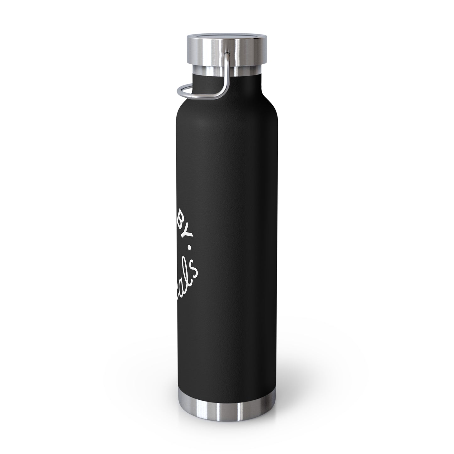 Stainless Steel Vacuum Insulated Bottle