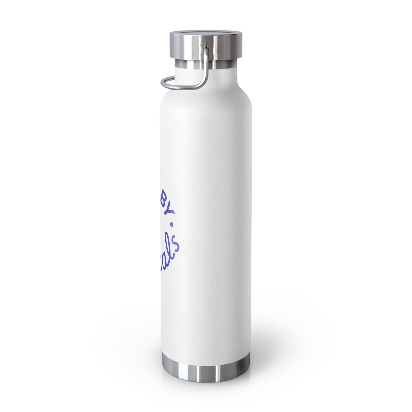 Stainless Steel Vacuum Insulated Bottle